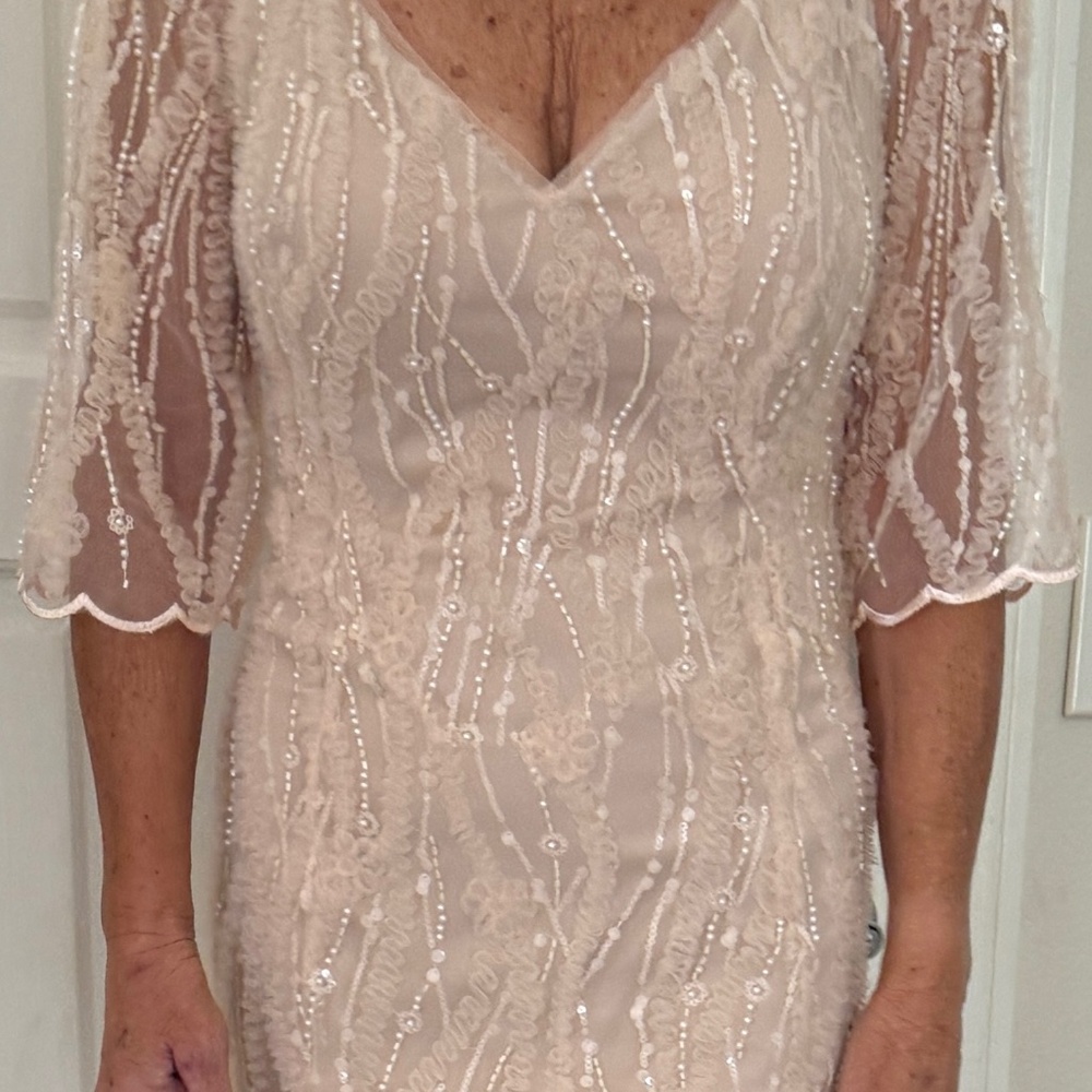 $686 Jade Couture Alanna Embroidery Lace fit and flare gown NWOT - Picture 2 of 10